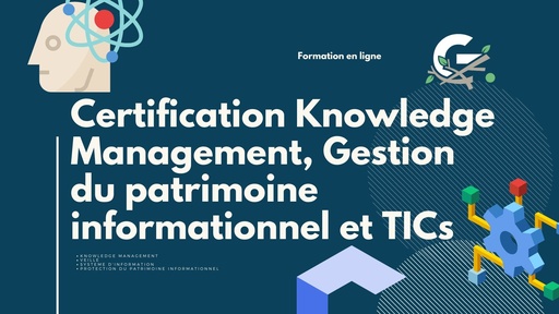 Certification Knowledge Management, Gestion du patrimoine informationnel et TICs